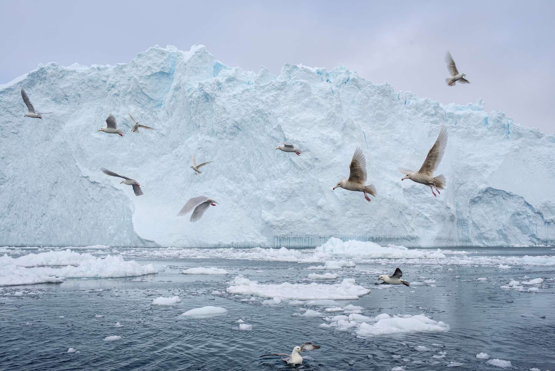 Inventario emissioni GHG e carbon footprint di prodotti e servizi