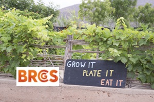 BRCGS Corso Ufficale - Risk Assessment