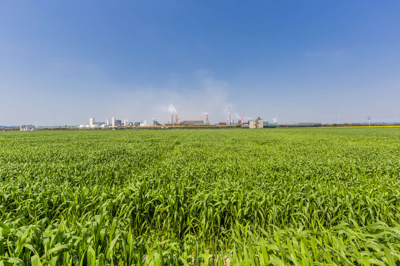 I nuovi requisiti ISO per il cambiamento climatico