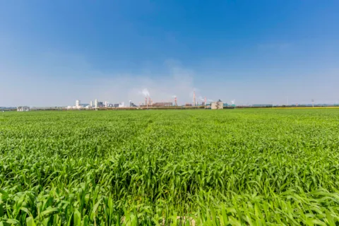 ISO Cambiamento Climatico