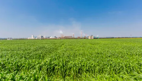 I nuovi requisiti ISO per il cambiamento climatico