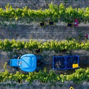 Internal Auditor ISO 22000