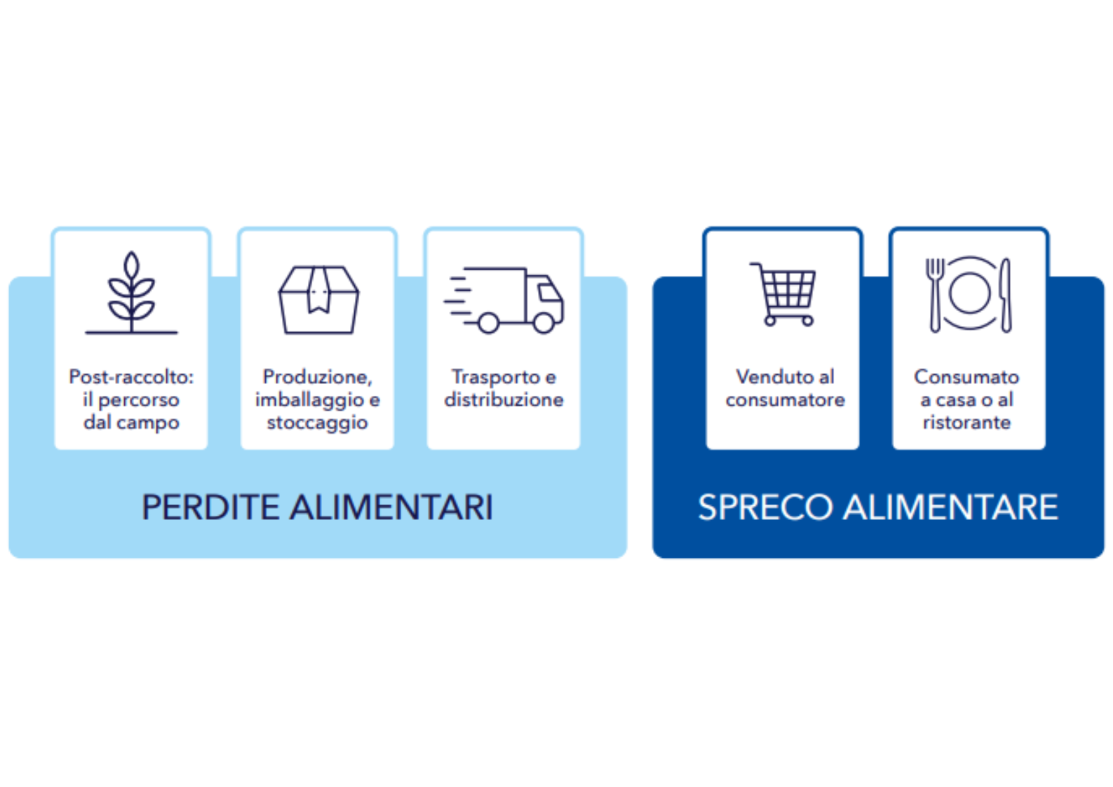 Infografica