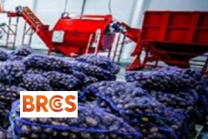 BRCGS  Corso Ufficiale - Global Standard Food Safety Issue 9: Sites Training 