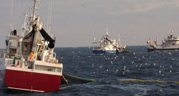 Gli standard MSC per la Pesca