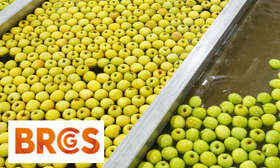 BRCGS Corso Ufficiale – Internal Auditor