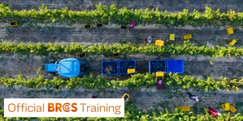 8.IT_1.BRCGS - Hazard analysis and critical control points (HACCP)_1000x500