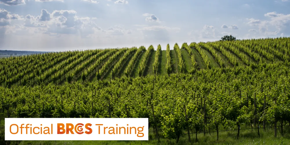 8.IT_2.BRCGS - Global Standard Food Safety Issue 8 Auditor Training - Corso Ufficiale1000x500 