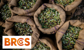 BRCGS Corso Ufficiale - Vulnerability Assessment for Food Fraud