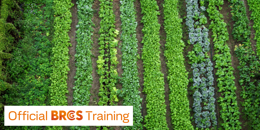 8.IT_BRCGS - An Approach to Product Safety Culture_1000x500 