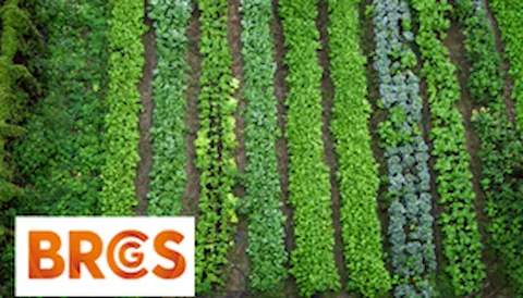 Corso Ufficiale BRCGS - An Approach to Product Safety Culture