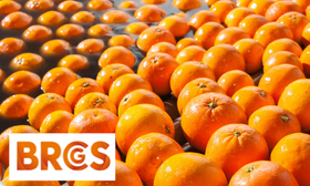 BRCGS Corso Ufficiale - Global Standard Food Safety Issue 9: Lead Auditor 