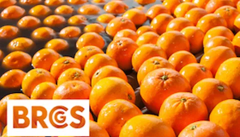 BRCGS - Global Standard Food Safety Issue 9: Lead Auditor - Corso Ufficiale