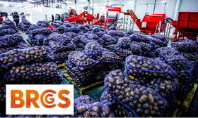 BRCGS  Corso Ufficiale - Global Standard Food Safety Issue 9: Sites Training 