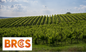BRCGS Corso Ufficiale - Global Standard Food Safety Issue 9: Auditor Training