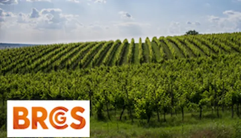 BRCGS Corso Ufficiale - Global Standard Food Safety Issue 9: Auditor Training