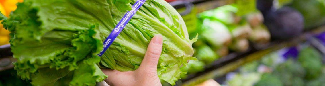 Introduzione al sistema FAMI-QS v. 6