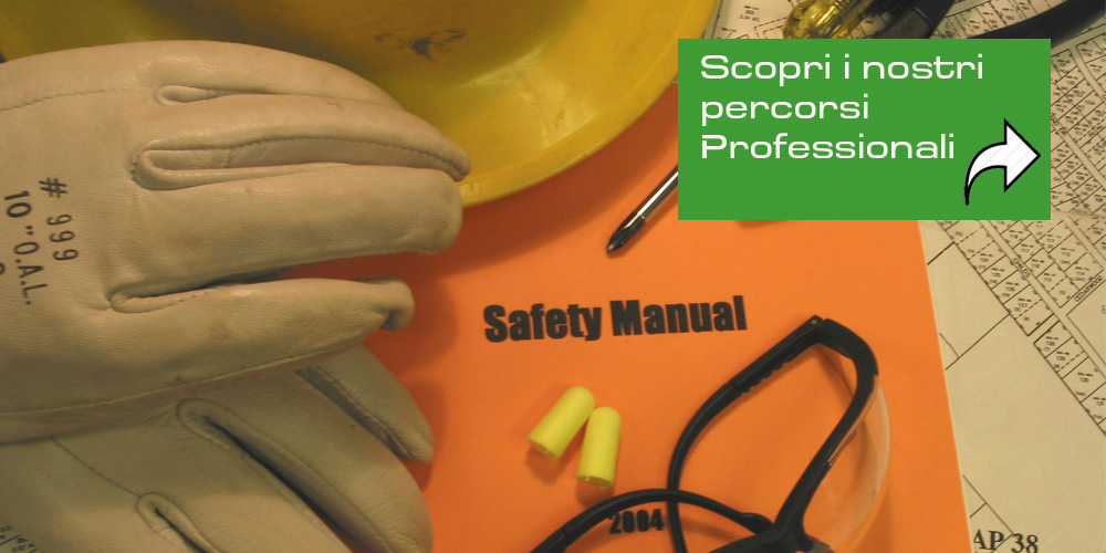 audit-sistema-integrato-training