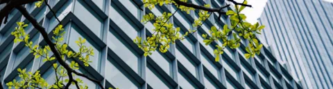 building with tree