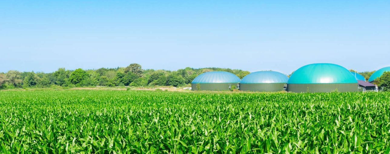 Biogas manufacturing