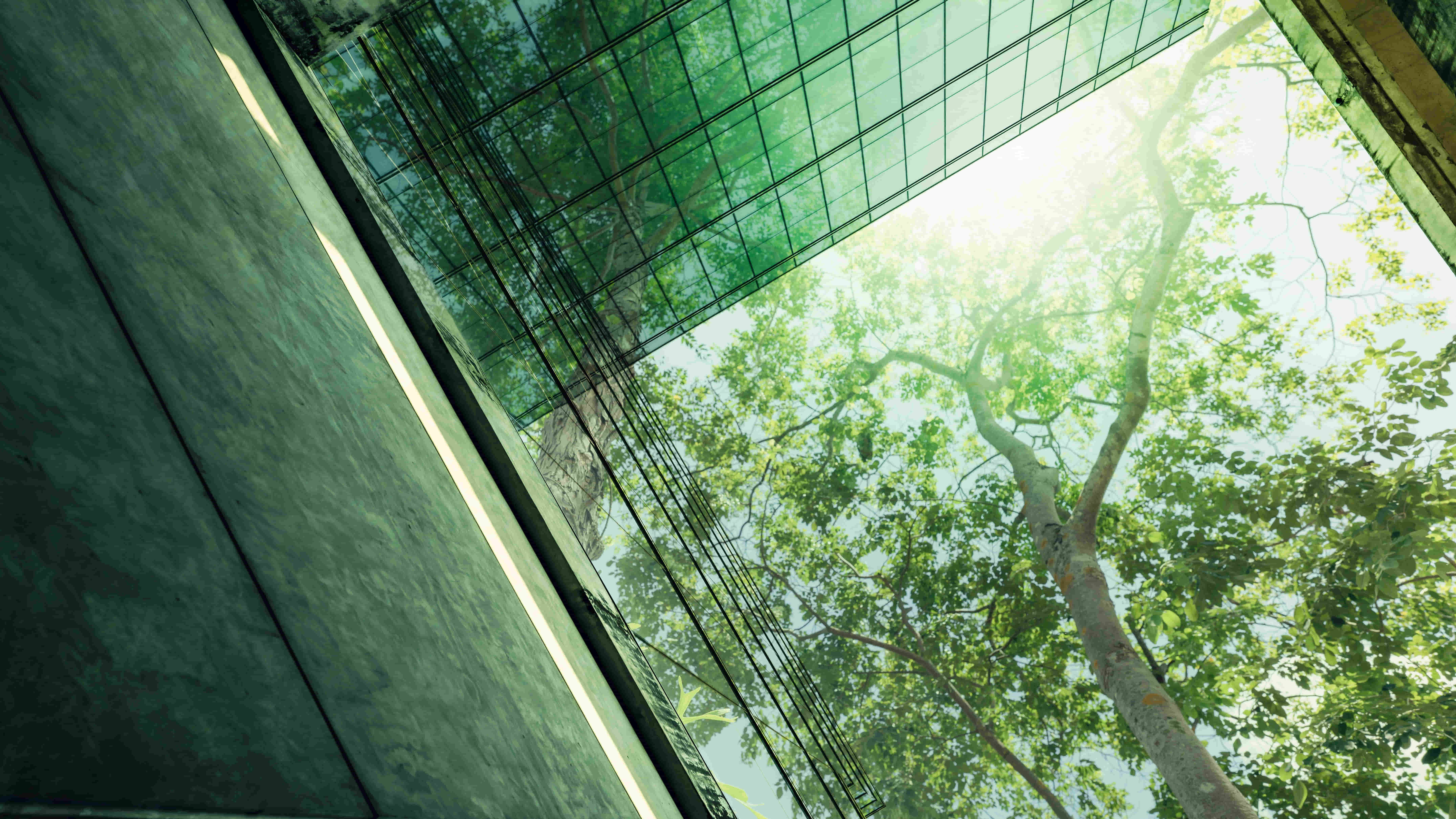 Certificazione ISO 14001: Gestione ambientale