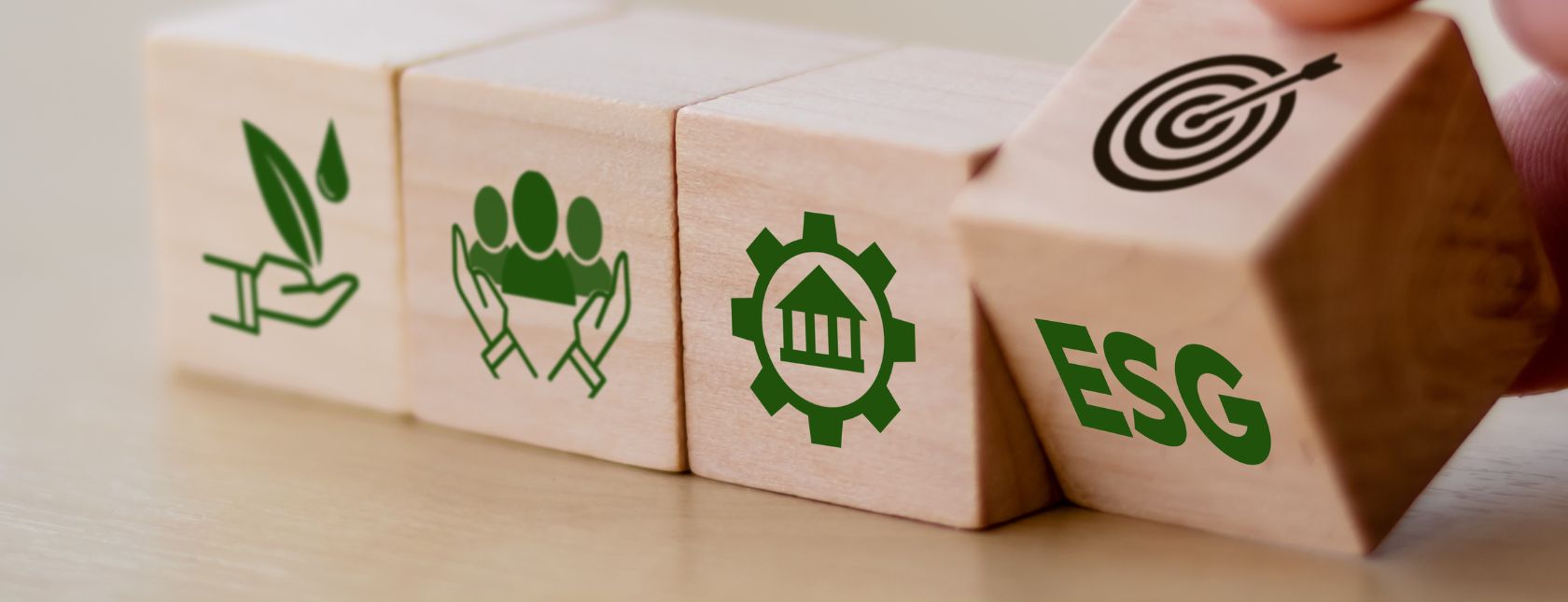 Formazione su ESG e sistemi di gestione