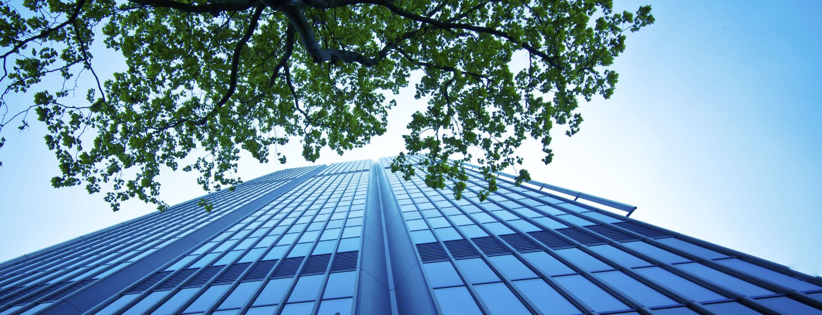 edificio con ufficio moderno e albero