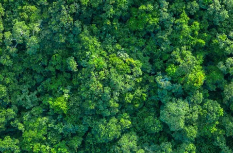 Revisione di ISO 14001 - Sistema di Gestione Ambientale