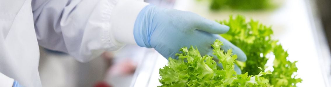 Cos'è un sistema di gestione della sicurezza alimentare?