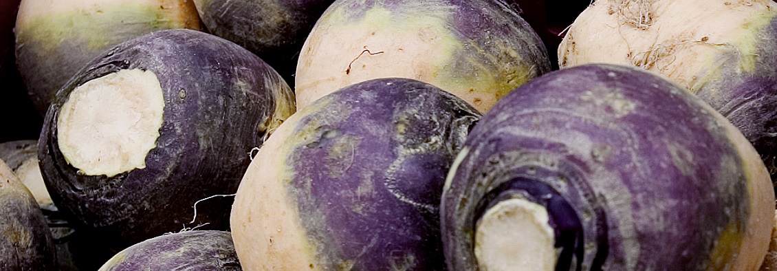 Introduzione a GLOBALG.A.P. IFA V.6