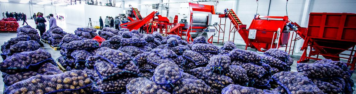 Verdure e generi alimentari in un grande magazzino