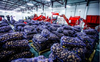 IFS Wholesale and Cash & Carry (C&C)