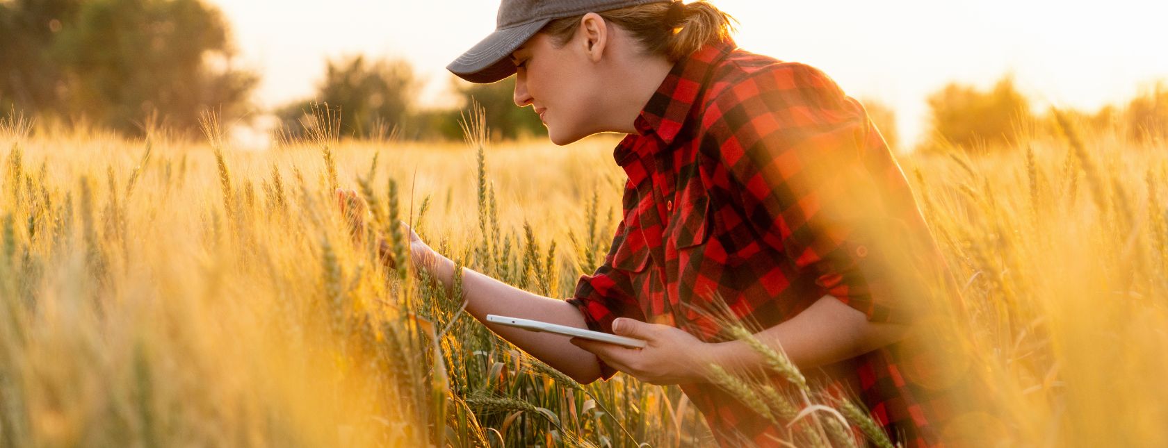 Agricoltura intelligente