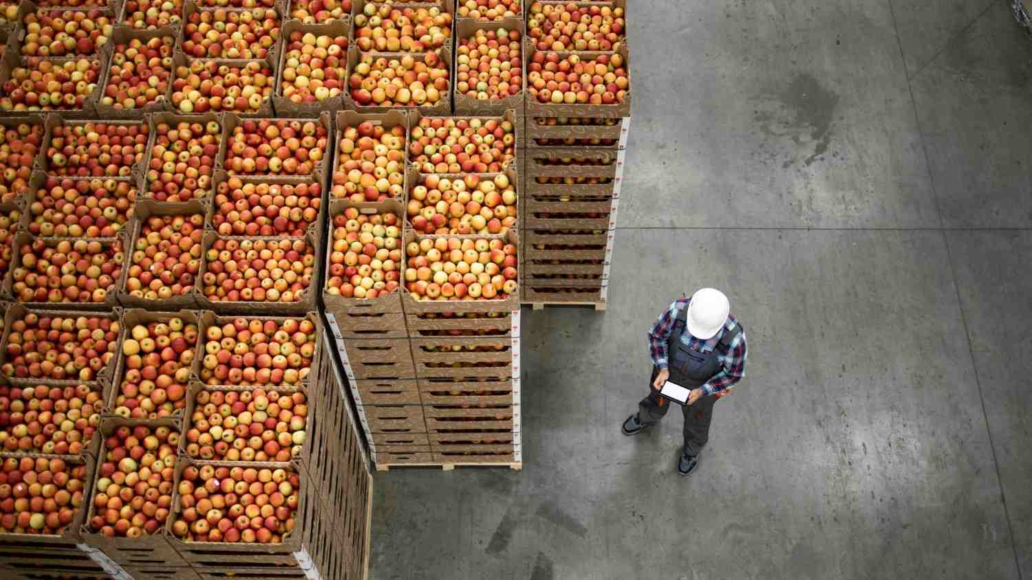 SQF Safety Quality Food Program
