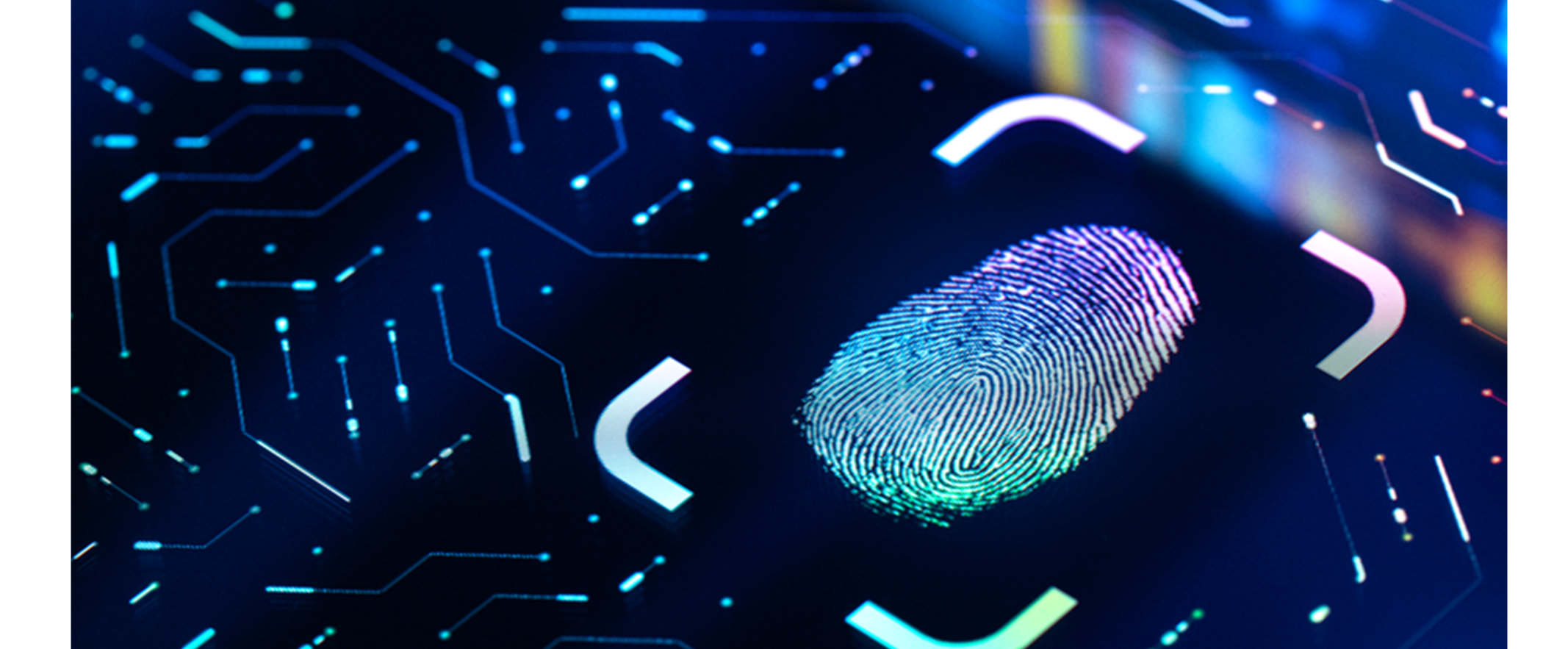 impronta digitale su schermo