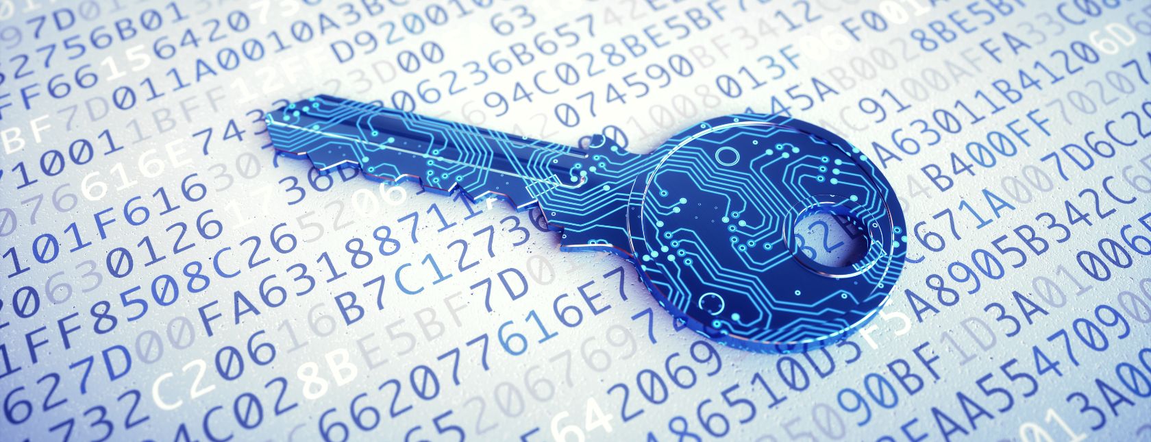 Programma di Certificazione Cyber Defence