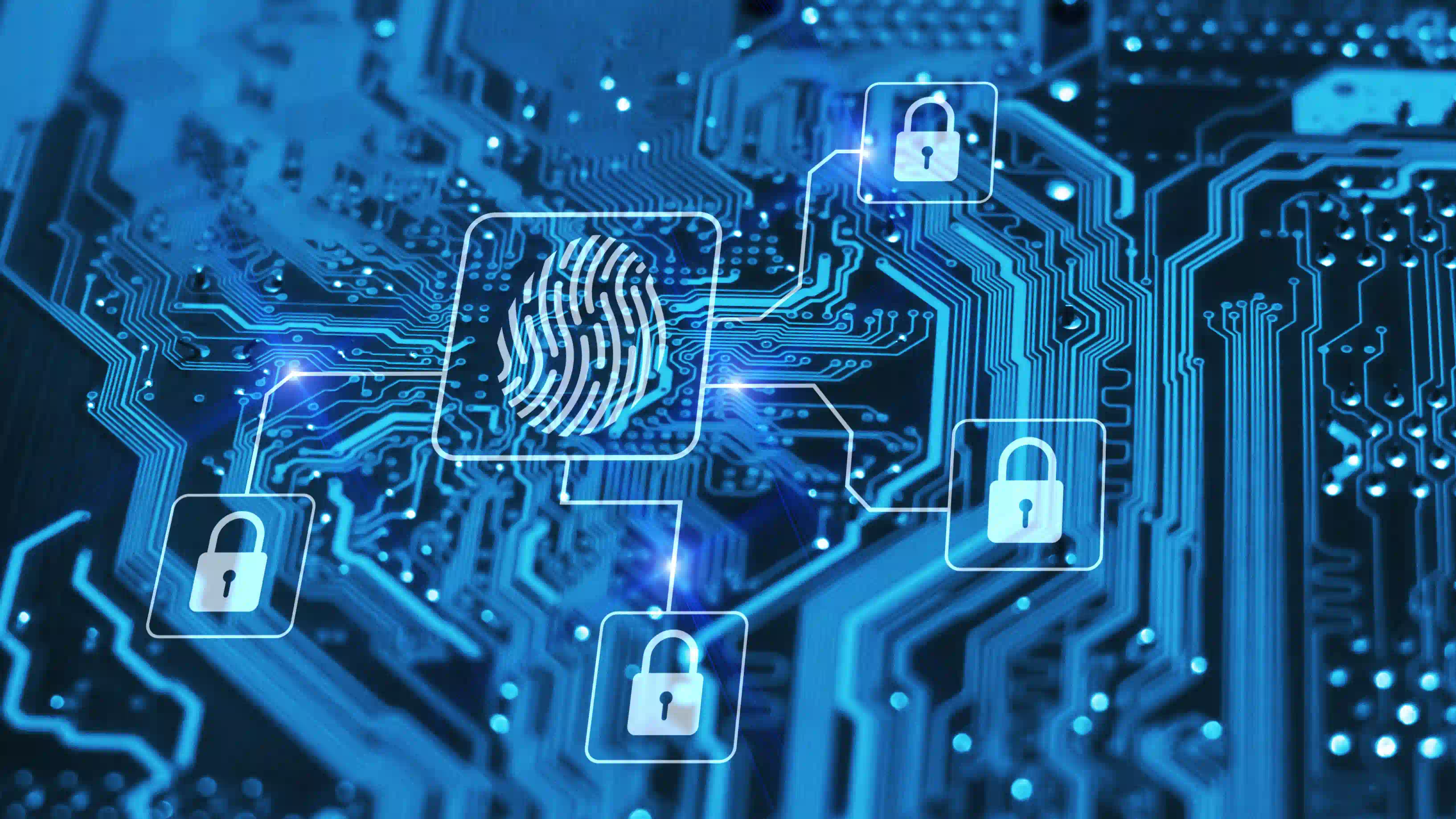 impronta digitale cyber