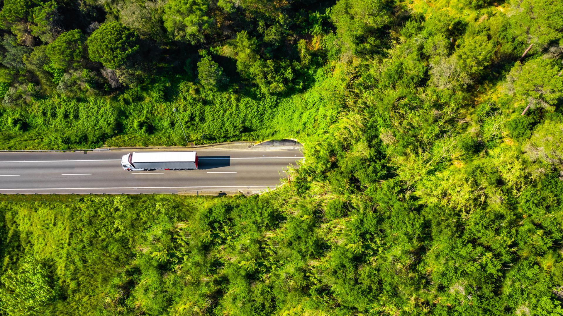 Corridoio verde con vegetazione e camion su strada