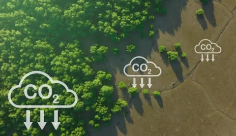 Carbon Footprint di Organizzazione – Inventario GHG