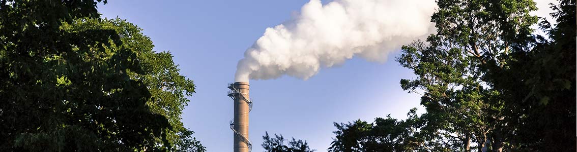 Verifica delle Dichiarazioni di Inventario GHG (Gas Effetto Serra) delle Organizzazioni