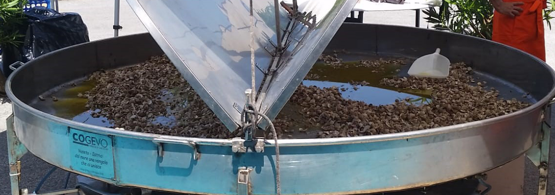 padella enorme con vongole
