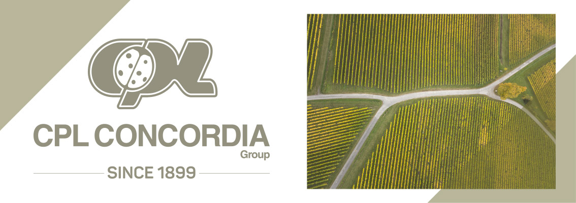 CPL CONCORDIA_1134X400