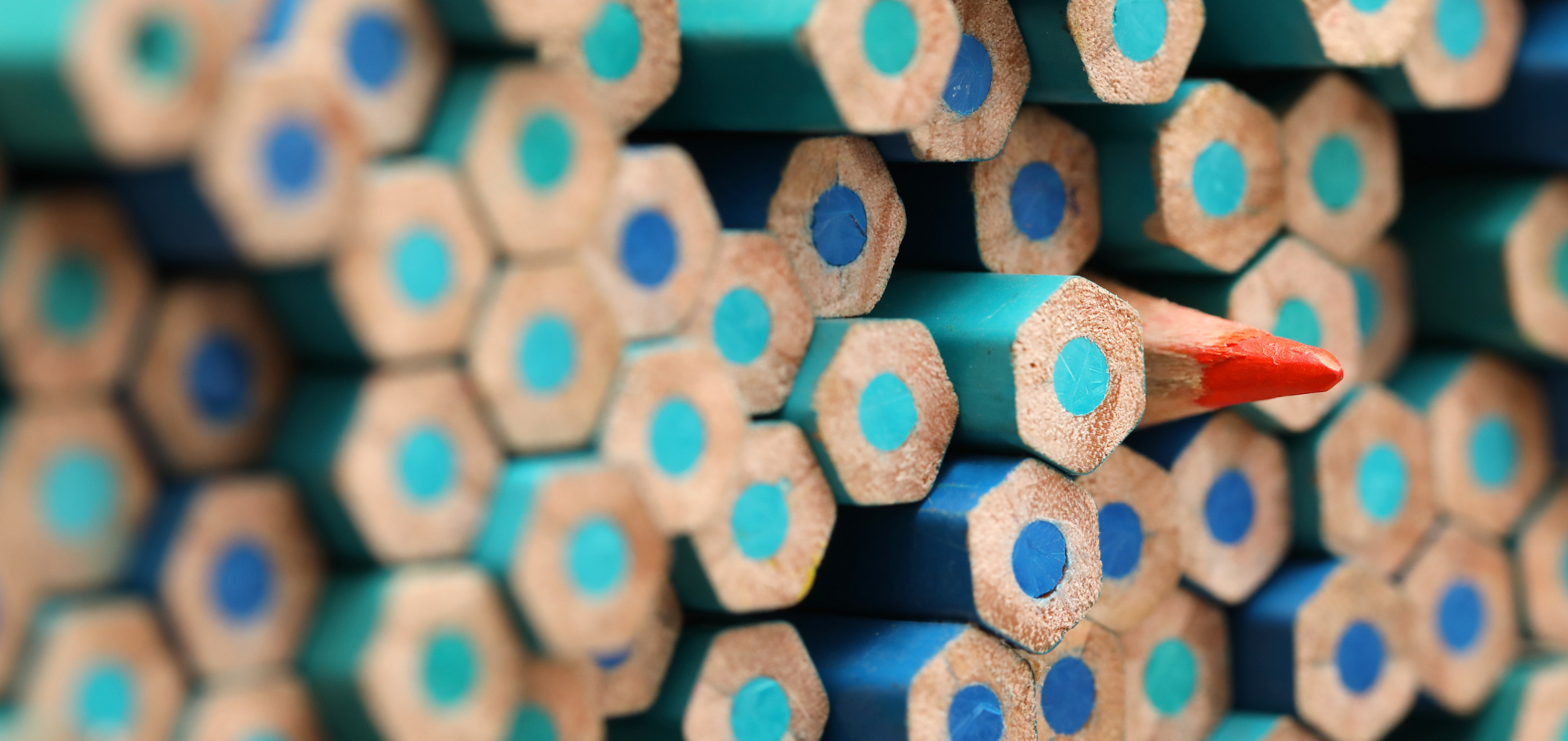 Gestione della Diversity, Equity and Inclusion