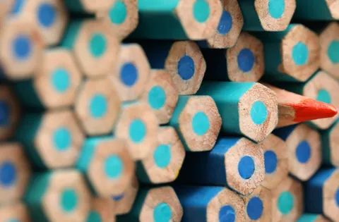 Gestione della Diversity, Equity and Inclusion
