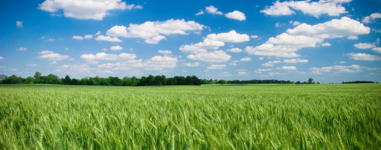 DNV insieme a IBC per valutare l’approccio alla sostenibilità dell’Industria dei beni di consumo_1288x511