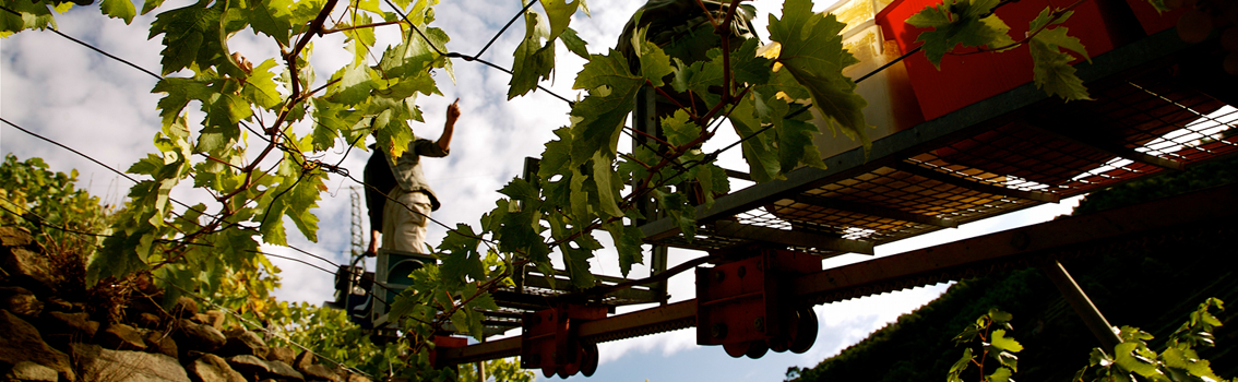 Certificazione EMAS per il Parco Nazionale delle Cinque Terre