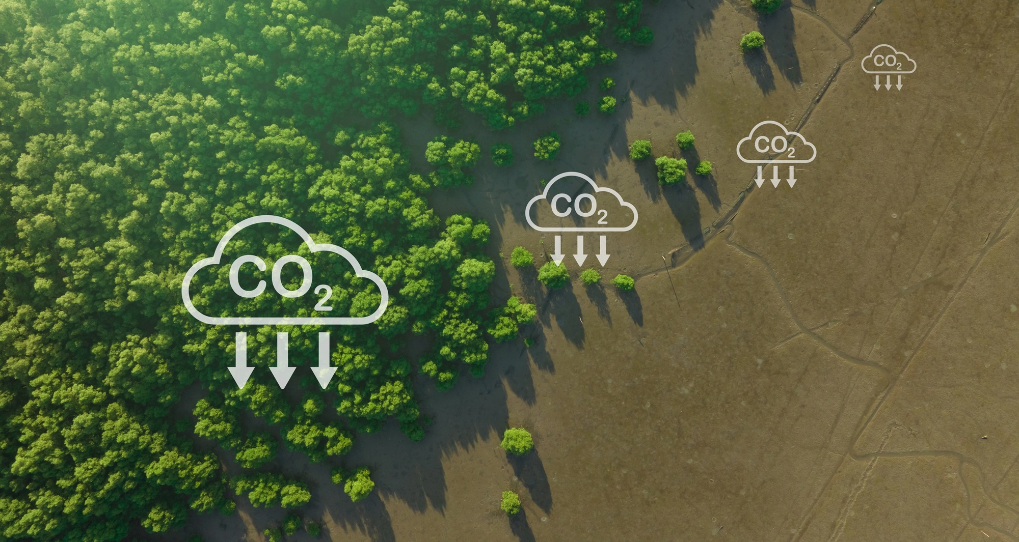 Carbon capture concept