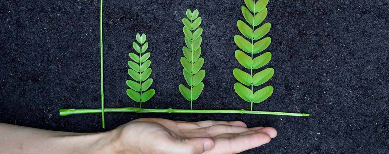 Sustainability Reporting & Assurance