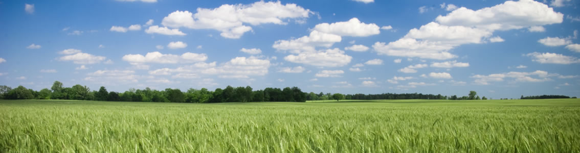 Energy and environmental policy