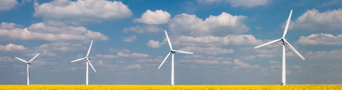 Wind turbine operations support